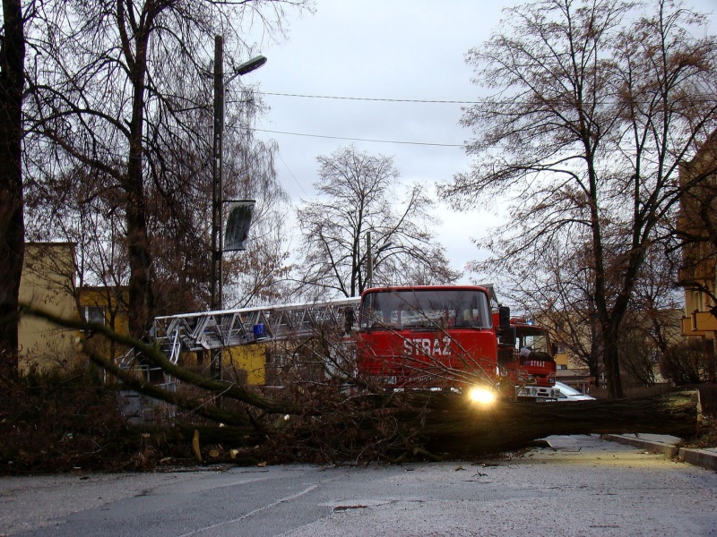 Zdjęcie w galerii na portalu naszwodzislaw.com: Na Wilchwach usuwali skutki wichury wiadomości z regionu