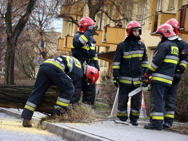 Zdjęcie w galerii na portalu naszwodzislaw.com: Na Wilchwach usuwali skutki wichury wiadomości z regionu