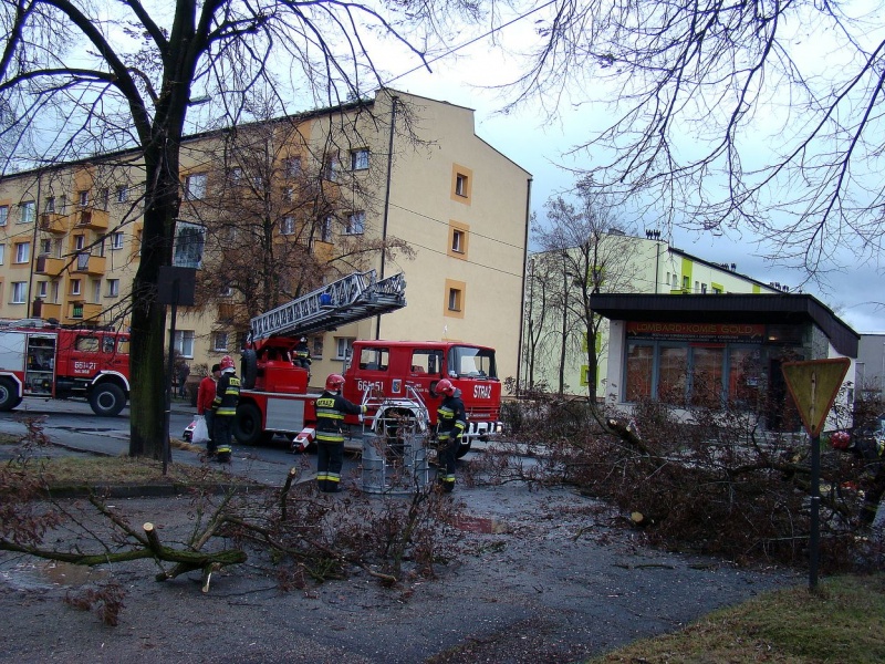 Zdjęcie w galerii na portalu naszwodzislaw.com: Na Wilchwach usuwali skutki wichury wiadomości z regionu
