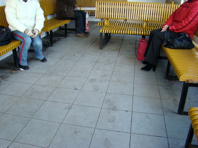 Zdjęcie w galerii na portalu naszwodzislaw.com: Brud, ziąb i bezdomni wiadomości z regionu