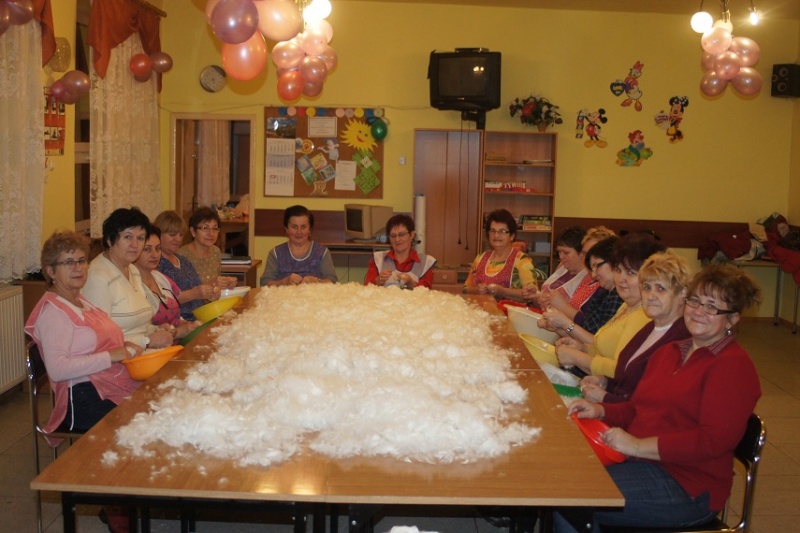 Zdjęcie w galerii na portalu naszwodzislaw.com: Szkubały pierze, aż leciało wiadomości z regionu