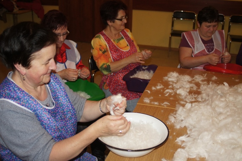 Zdjęcie w galerii na portalu naszwodzislaw.com: Szkubały pierze, aż leciało wiadomości z regionu