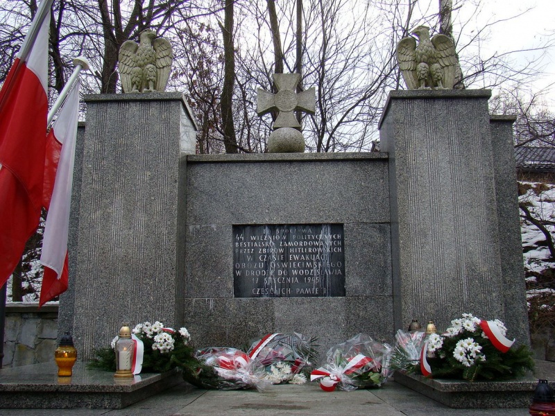 Zdjęcie w galerii na portalu naszwodzislaw.com: Nasze pokolenie wymiera wiadomości z regionu