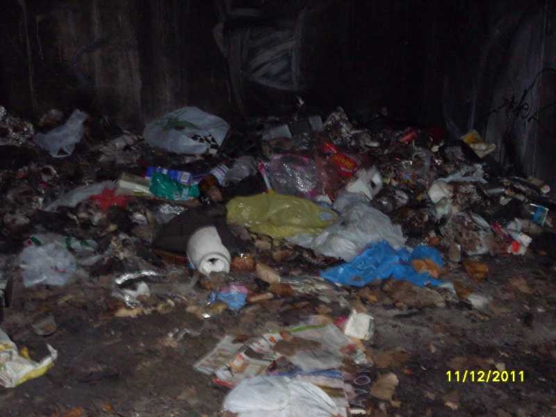 Zdjęcie w galerii na portalu naszwodzislaw.com: Przy Basenowej już czysto wiadomości z regionu