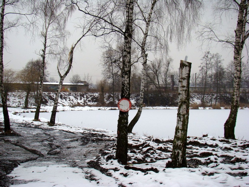 Zdjęcie w galerii na portalu naszwodzislaw.com: To tam łowią 17-kilogramowe sztuki wiadomości z regionu