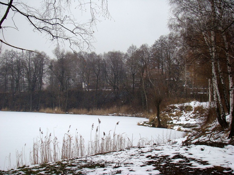 Zdjęcie w galerii na portalu naszwodzislaw.com: To tam łowią 17-kilogramowe sztuki wiadomości z regionu