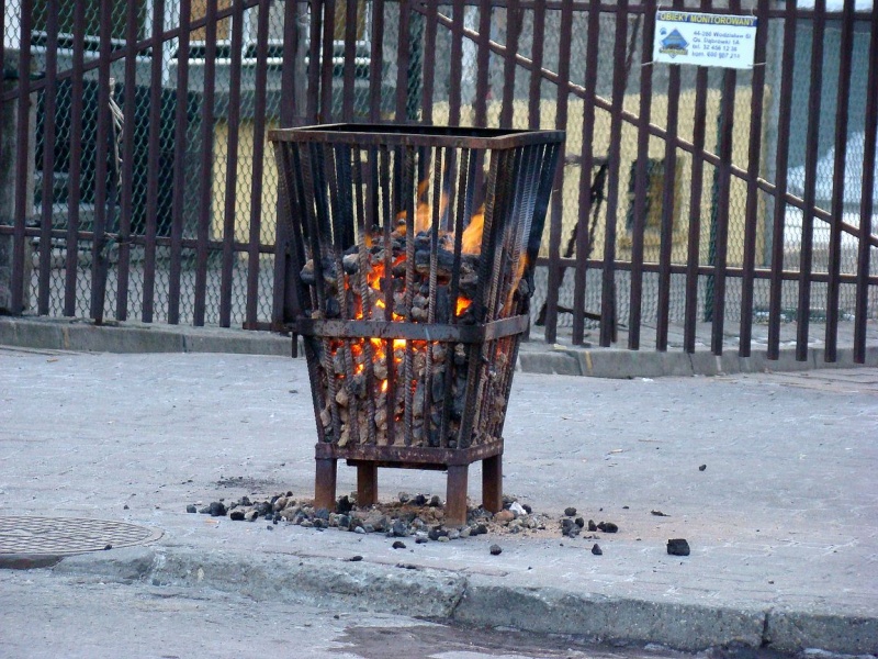 Zdjęcie w galerii na portalu naszwodzislaw.com: Mróz nie odpuszcza, ale są koksiaki wiadomości z regionu