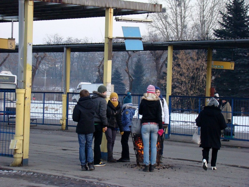 Zdjęcie w galerii na portalu naszwodzislaw.com: Mróz nie odpuszcza, ale są koksiaki wiadomości z regionu