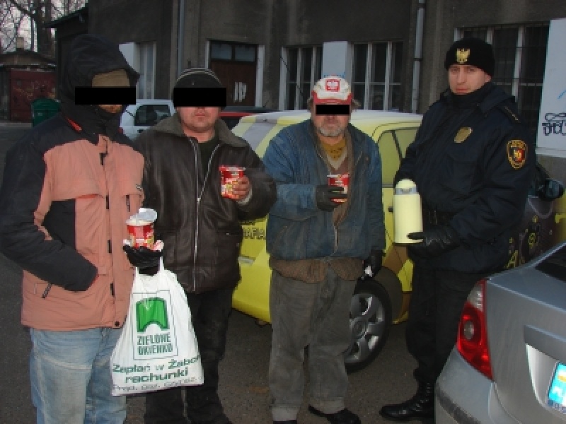 Zdjęcie w galerii na portalu naszwodzislaw.com: Pomóż im przetrwać zimę! wiadomości z regionu