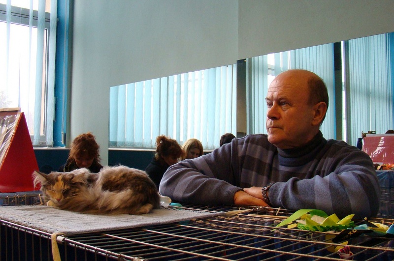 Zdjęcie w galerii na portalu naszwodzislaw.com: Mruczące futrzaki w WCK wiadomości z regionu