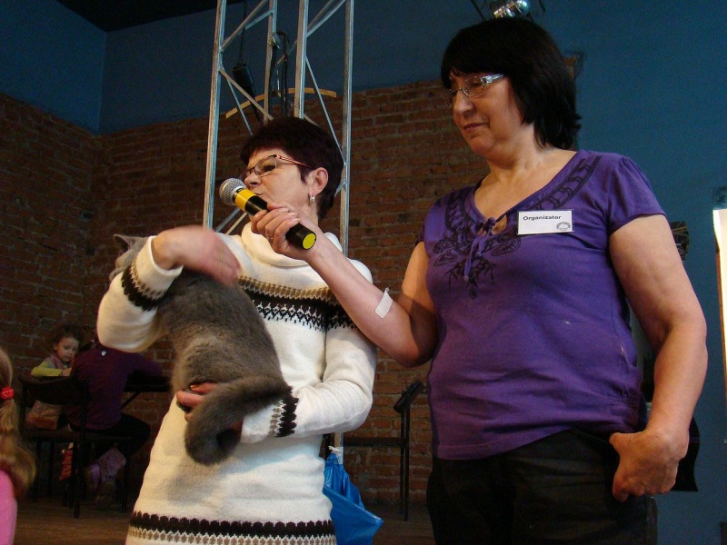 Zdjęcie w galerii na portalu naszwodzislaw.com: Mruczące futrzaki w WCK wiadomości z regionu