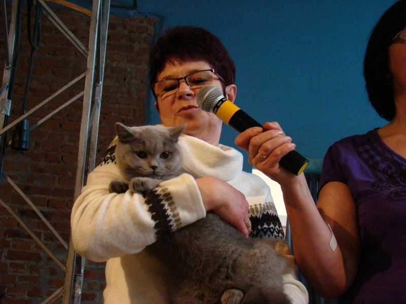 Zdjęcie w galerii na portalu naszwodzislaw.com: Mruczące futrzaki w WCK wiadomości z regionu