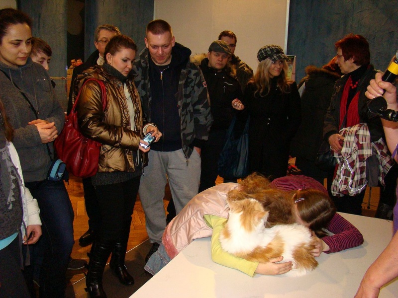 Zdjęcie w galerii na portalu naszwodzislaw.com: Mruczące futrzaki w WCK wiadomości z regionu