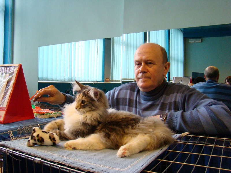 Zdjęcie w galerii na portalu naszwodzislaw.com: Mruczące futrzaki w WCK wiadomości z regionu