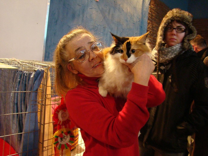 Zdjęcie w galerii na portalu naszwodzislaw.com: Mruczące futrzaki w WCK wiadomości z regionu