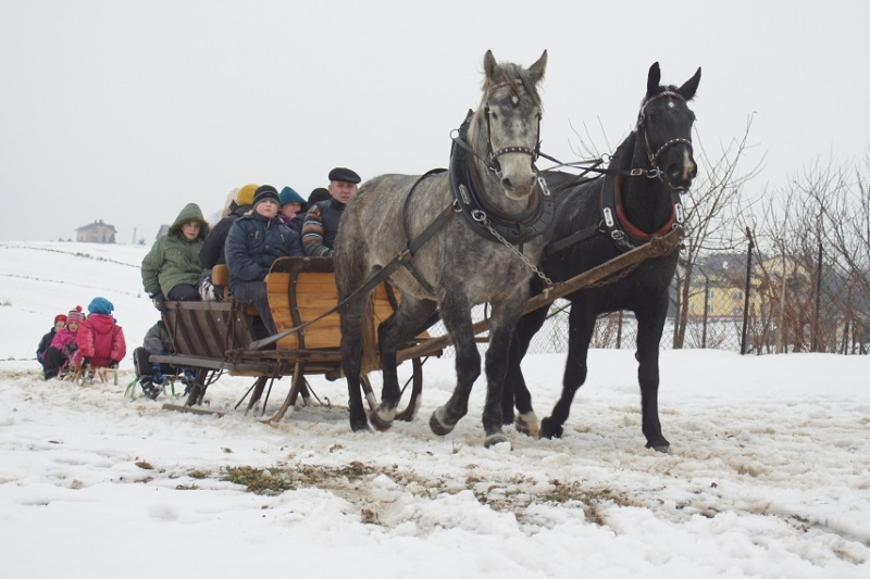 Zdjęcie w galerii na portalu naszwodzislaw.com: Mimo odwilży kulig się udał wiadomości z regionu