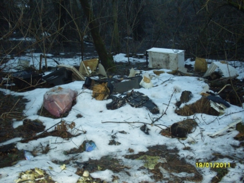 Zdjęcie w galerii na portalu naszwodzislaw.com: Teren za wiaduktem uporządkowany wiadomości z regionu