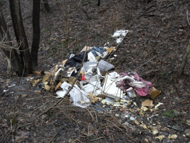 Zdjęcie w galerii na portalu naszwodzislaw.com: Teren za wiaduktem uporządkowany wiadomości z regionu