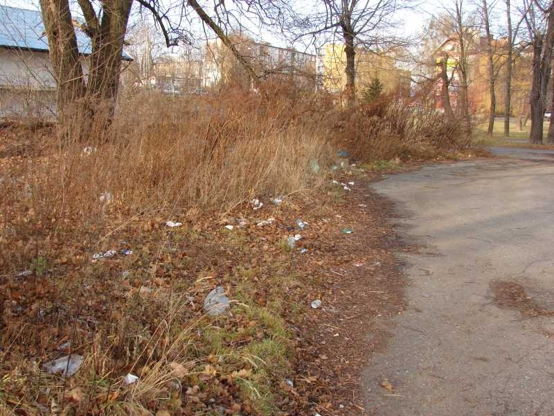 Zdjęcie w galerii na portalu naszwodzislaw.com: W rejonie dworca PKP już czysto wiadomości z regionu