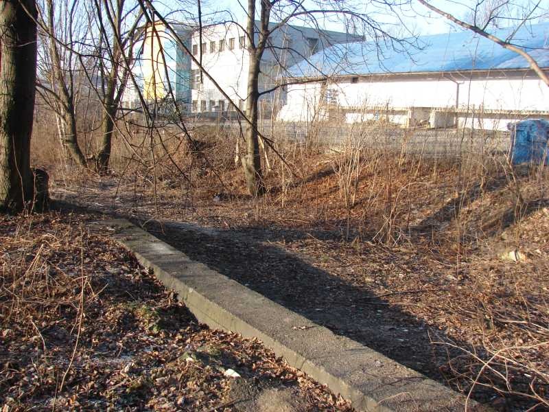 Zdjęcie w galerii na portalu naszwodzislaw.com: W rejonie dworca PKP już czysto wiadomości z regionu