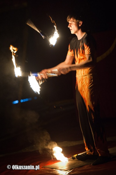 Zdjęcie w galerii na portalu naszwodzislaw.com: Wygraj zaproszenie do Cyrku Warszawa wiadomości z regionu