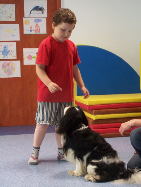 Zdjęcie w galerii na portalu naszwodzislaw.com: Poradnia po raz trzeci otworzyła podwoje wiadomości z regionu