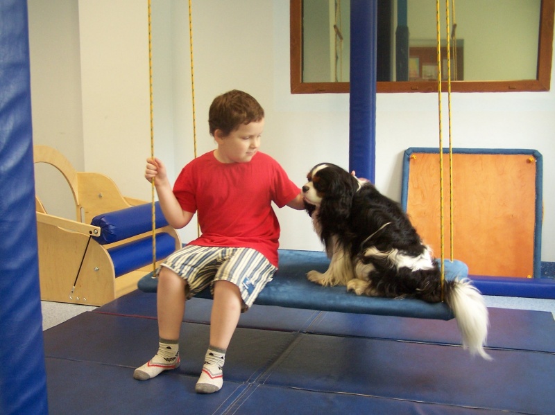 Zdjęcie w galerii na portalu naszwodzislaw.com: Poradnia po raz trzeci otworzyła podwoje wiadomości z regionu