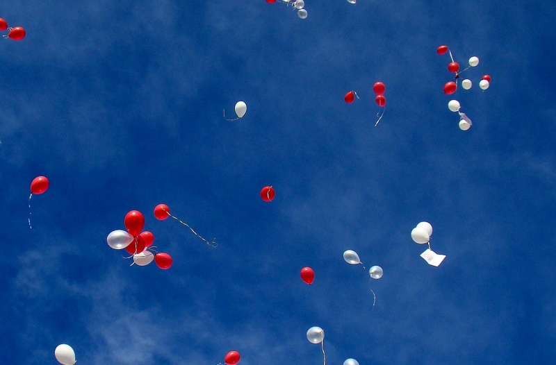 Zdjęcie w galerii na portalu naszwodzislaw.com: Balony wzbiły się w powietrze wiadomości z regionu