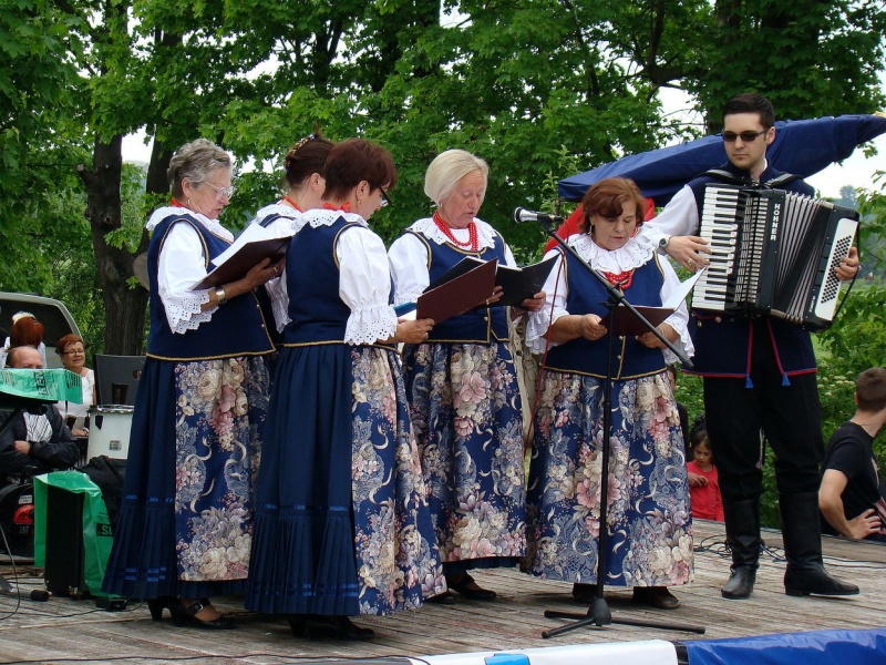 Zdjęcie w galerii na portalu naszwodzislaw.com: Walki powstańcze w Lubomi wiadomości z regionu