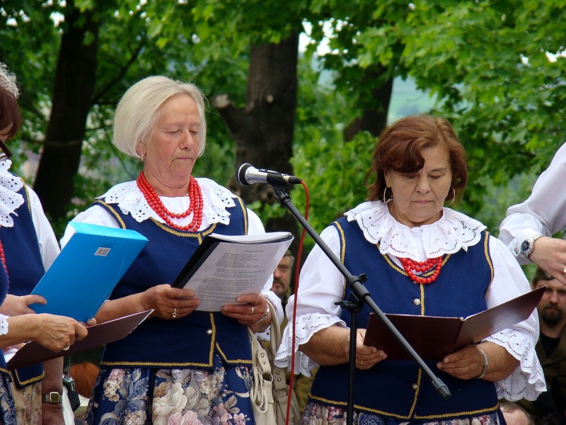 Zdjęcie w galerii na portalu naszwodzislaw.com: Walki powstańcze w Lubomi wiadomości z regionu
