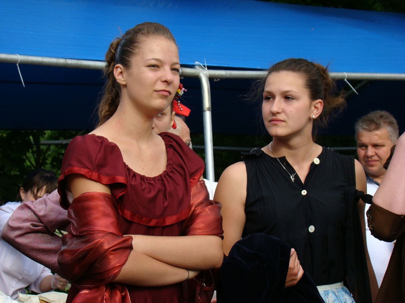 Zdjęcie w galerii na portalu naszwodzislaw.com: Walki powstańcze w Lubomi wiadomości z regionu