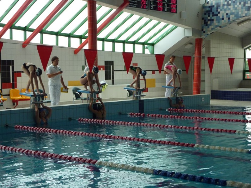 Zdjęcie w galerii na portalu naszwodzislaw.com: Śląskie mistrzostwa pływaków wiadomości z regionu