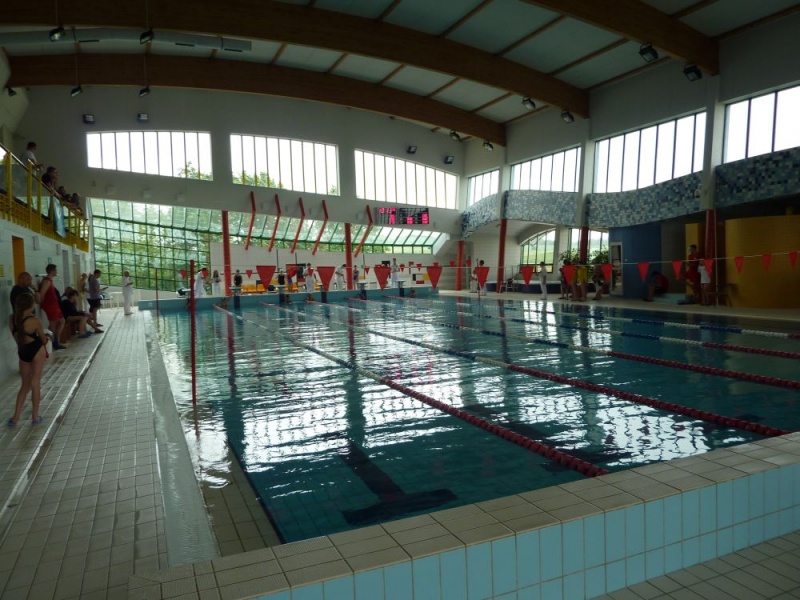 Zdjęcie w galerii na portalu naszwodzislaw.com: Śląskie mistrzostwa pływaków wiadomości z regionu