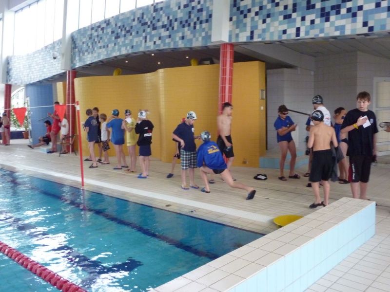 Zdjęcie w galerii na portalu naszwodzislaw.com: Śląskie mistrzostwa pływaków wiadomości z regionu