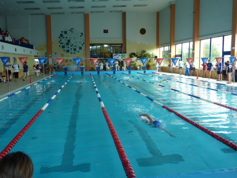 Zdjęcie w galerii na portalu naszwodzislaw.com: Śląskie mistrzostwa pływaków wiadomości z regionu