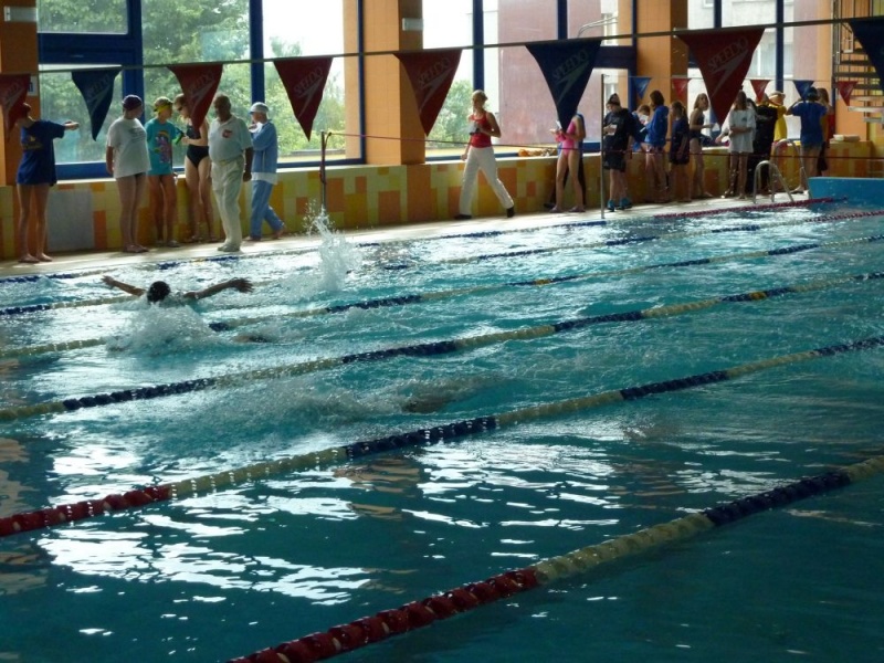 Zdjęcie w galerii na portalu naszwodzislaw.com: Śląskie mistrzostwa pływaków wiadomości z regionu