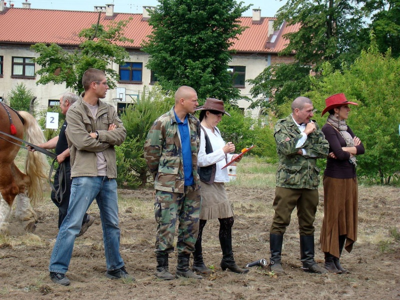 Zdjęcie w galerii na portalu naszwodzislaw.com: Koń Leon uciągnął 1200 kg wiadomości z regionu