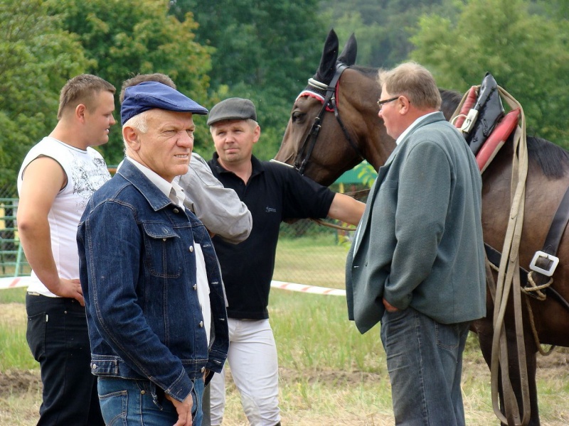 Zdjęcie w galerii na portalu naszwodzislaw.com: Koń Leon uciągnął 1200 kg wiadomości z regionu