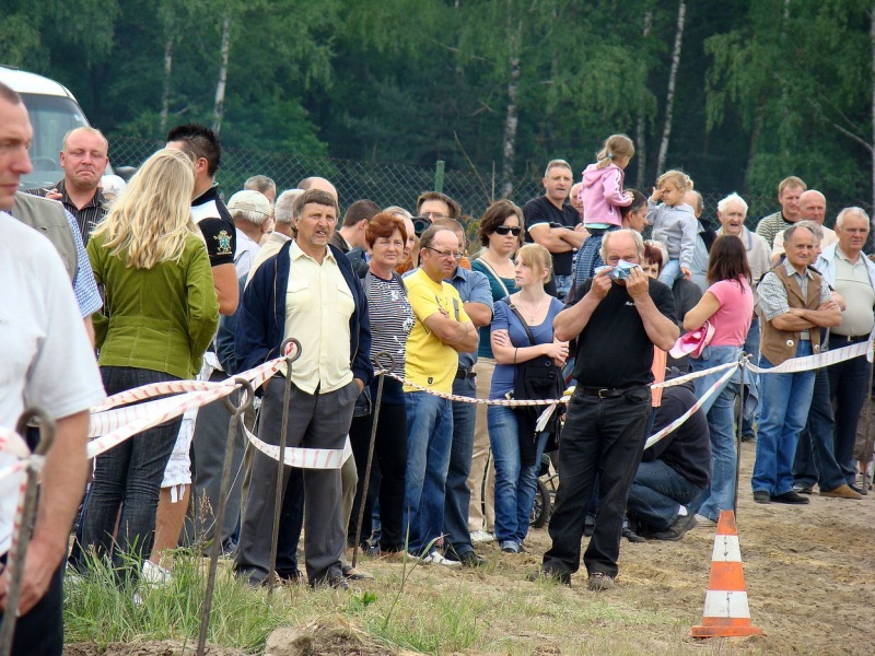 Zdjęcie w galerii na portalu naszwodzislaw.com: Koń Leon uciągnął 1200 kg wiadomości z regionu