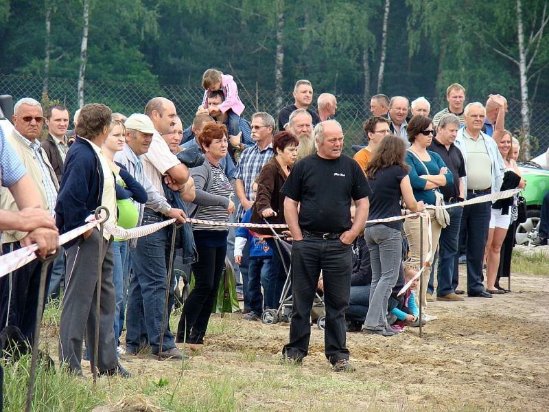 Zdjęcie w galerii na portalu naszwodzislaw.com: Koń Leon uciągnął 1200 kg wiadomości z regionu