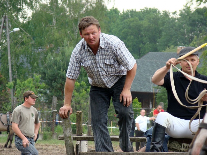 Zdjęcie w galerii na portalu naszwodzislaw.com: Koń Leon uciągnął 1200 kg wiadomości z regionu