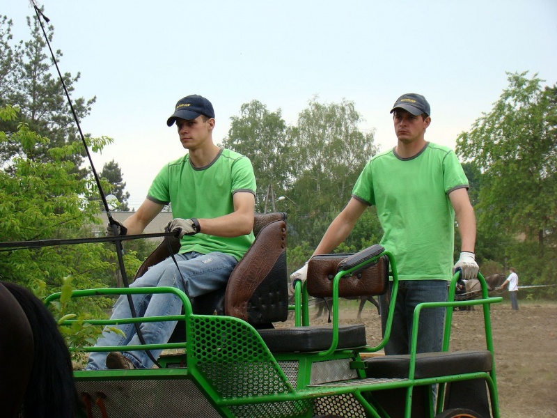 Zdjęcie w galerii na portalu naszwodzislaw.com: Koń Leon uciągnął 1200 kg wiadomości z regionu