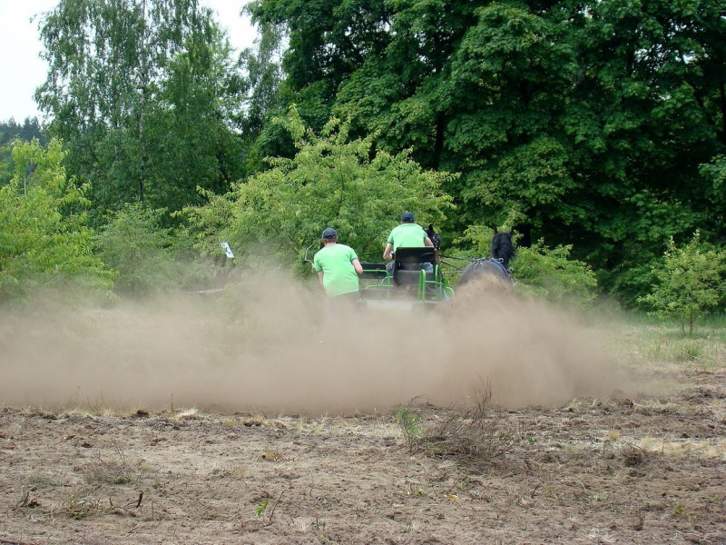 Zdjęcie w galerii na portalu naszwodzislaw.com: Koń Leon uciągnął 1200 kg wiadomości z regionu