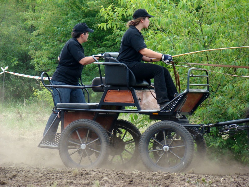 Zdjęcie w galerii na portalu naszwodzislaw.com: Koń Leon uciągnął 1200 kg wiadomości z regionu