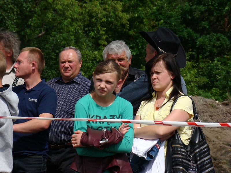 Zdjęcie w galerii na portalu naszwodzislaw.com: Koń Leon uciągnął 1200 kg wiadomości z regionu