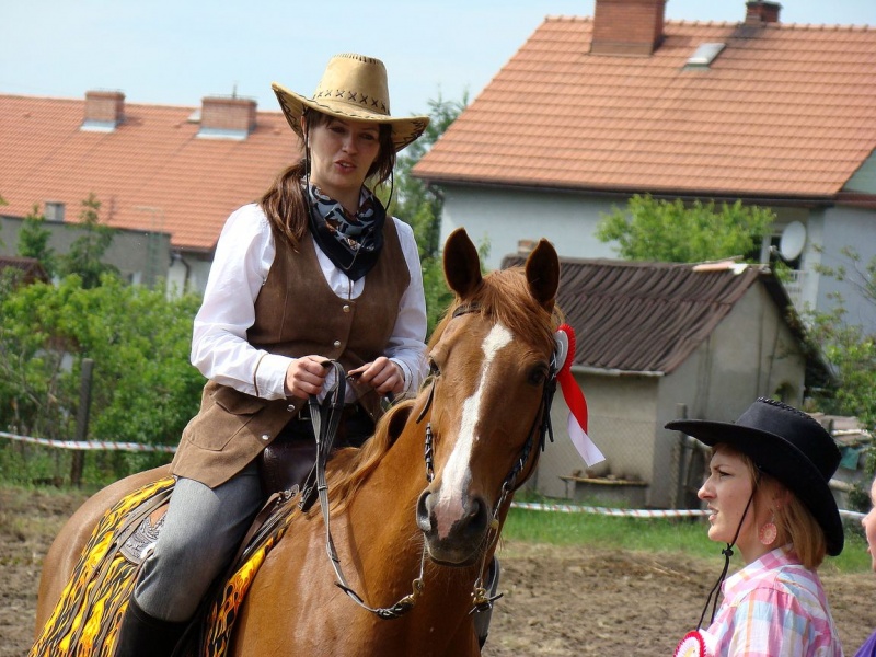 Zdjęcie w galerii na portalu naszwodzislaw.com: Koń Leon uciągnął 1200 kg wiadomości z regionu