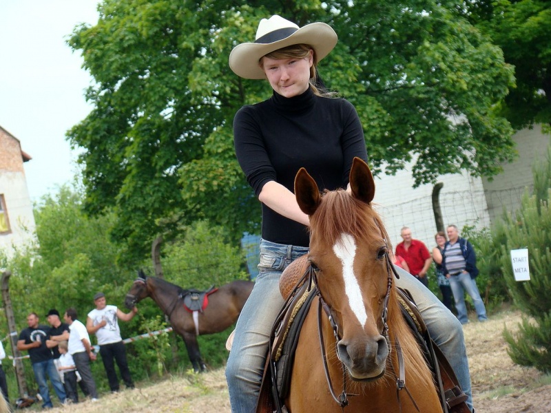 Zdjęcie w galerii na portalu naszwodzislaw.com: Koń Leon uciągnął 1200 kg wiadomości z regionu