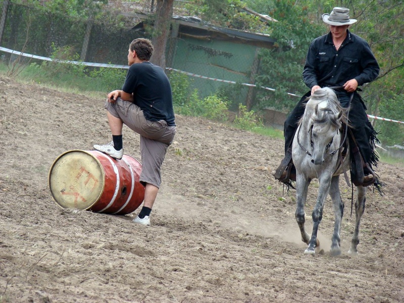 Zdjęcie w galerii na portalu naszwodzislaw.com: Koń Leon uciągnął 1200 kg wiadomości z regionu
