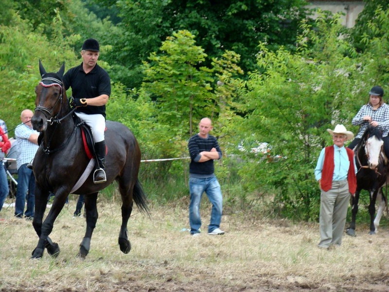 Zdjęcie w galerii na portalu naszwodzislaw.com: Koń Leon uciągnął 1200 kg wiadomości z regionu