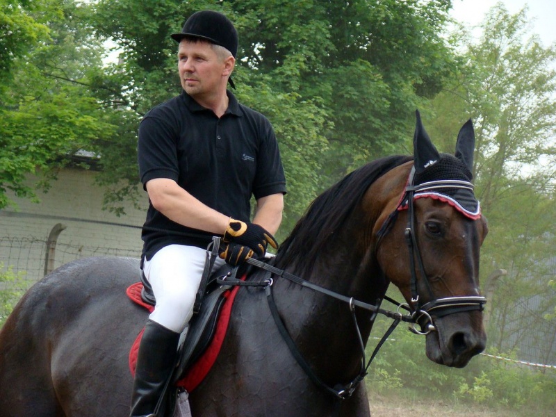 Zdjęcie w galerii na portalu naszwodzislaw.com: Koń Leon uciągnął 1200 kg wiadomości z regionu